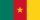 flagcm