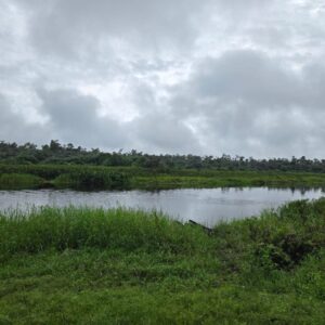 Terrain agricole à vendre Cameroun – 2000 ha titrés à 150 km de Yaoundé (Est)